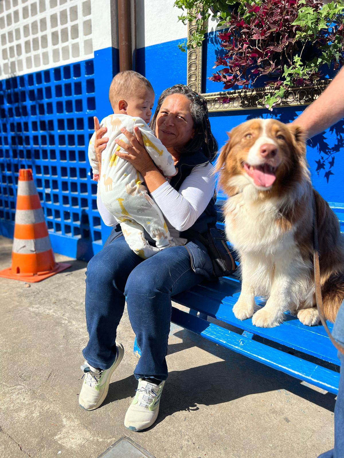 Família socializadora acolhendo um cão do Instituto Reddogs